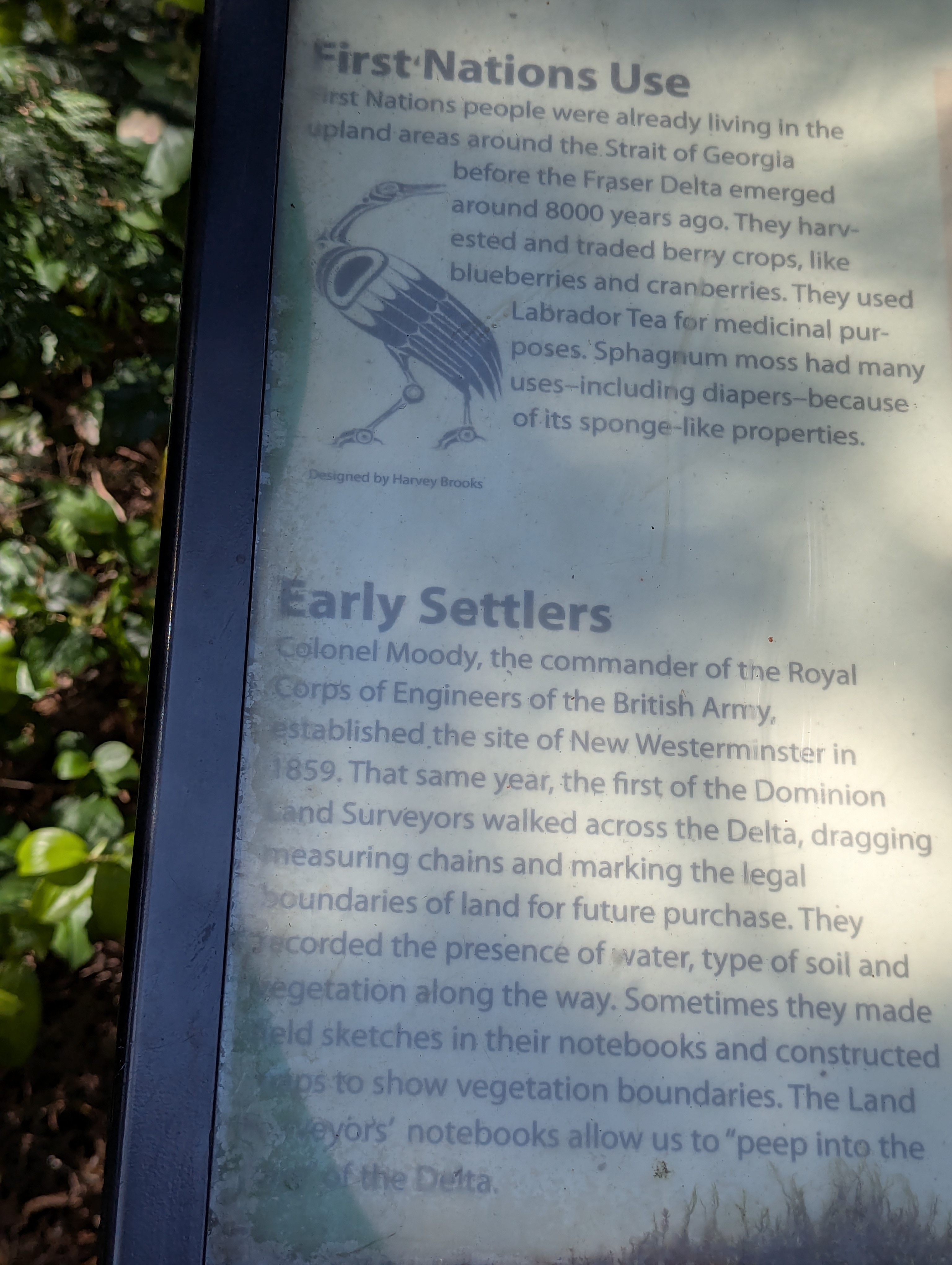 Birthday Trip to Canada, Delta, Burns Bog, Vancouver, British Columbia